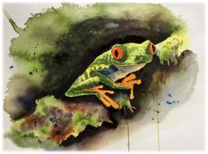 Watercolor painting by Maren Hange of a frog on a branch. 